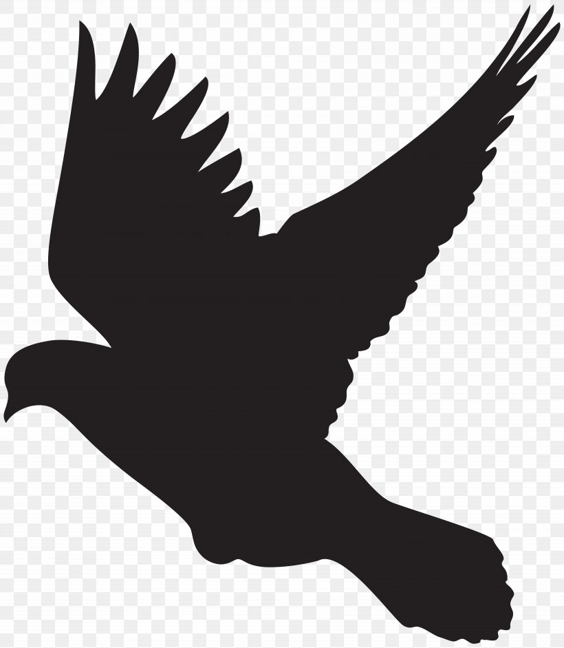 Columbidae Silhouette Drawing Dove Clip Art, PNG, 6971x8000px, Columbidae, Beak, Bird, Bird Of Prey, Black And White Download Free