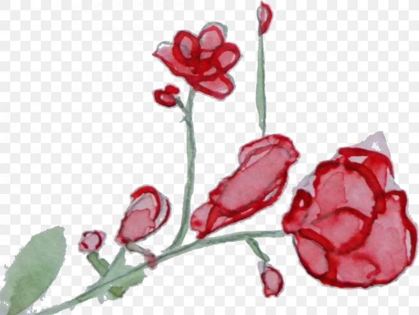 Garden Roses Cut Flowers Floral Design Watercolor Painting, PNG, 1107x834px, Garden Roses, Cut Flowers, Flora, Floral Design, Flower Download Free