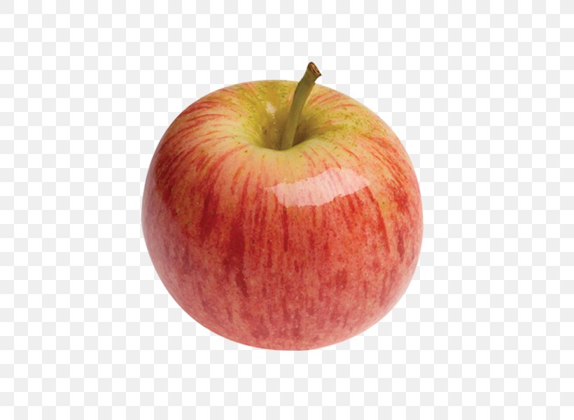 Apple Pie Fruit Gala, PNG, 600x600px, Apple Pie, Apple, Dessert, Diet Food, Empire Apples Download Free
