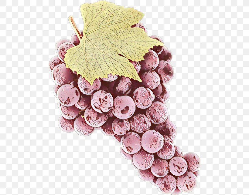 Grape Cartoon, PNG, 500x643px, Grape, Food, Fruit, Grape Leaves, Grapevine Family Download Free