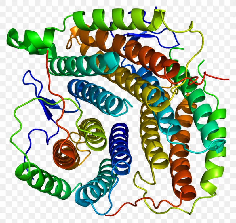MMAB Cob(I)yrinic Acid A,c-diamide Adenosyltransferase Methylmalonic Acidemia S-adenosylmethionine Synthetase Enzyme Methylmalonyl-CoA Mutase, PNG, 912x862px, Methylmalonylcoa Mutase, Art, Artwork, Enzyme, Gene Download Free