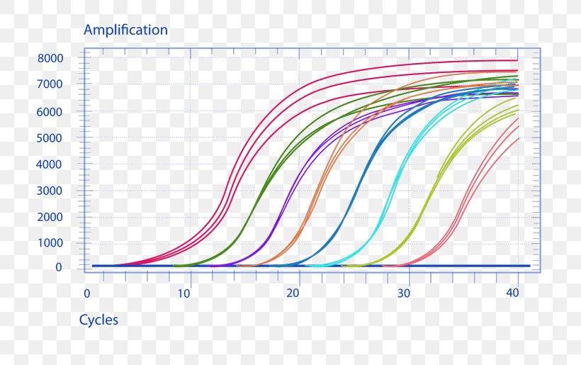 Real-time Polymerase Chain Reaction TaqMan SYBR Green I Hybridization Probe, PNG, 800x515px, Realtime Polymerase Chain Reaction, Area, Assay, Biotechnology, Diagram Download Free