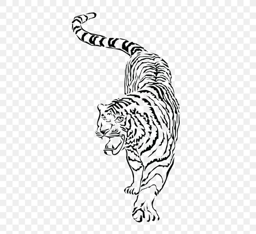Whiskers South China Tiger Drawing PNG 750x750px Whiskers Abstract Art  Animal Figure Area Art Download Free