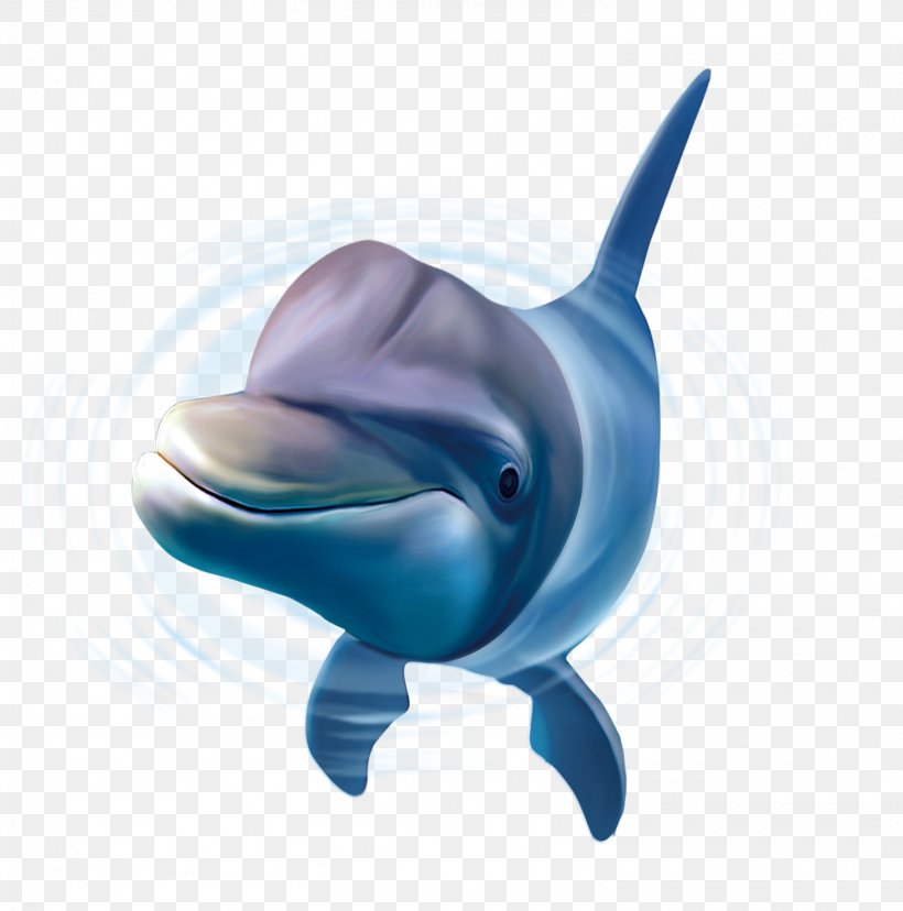 Common Bottlenose Dolphin Tucuxi Porpoise Striped Dolphin, PNG, 1500x1515px, Common Bottlenose Dolphin, Blue, Cobalt Blue, Dolphin, Fish Download Free