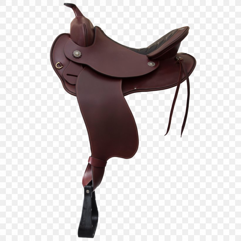Western Saddle Horse Schleese Saddlery English Saddle, PNG, 1800x1800px, Saddle, Bit, Bridle, Dressage, English Saddle Download Free