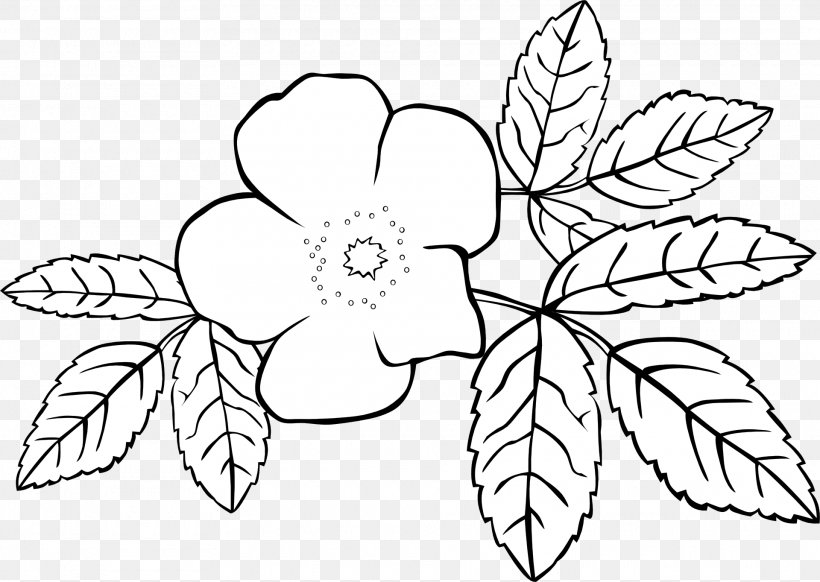 Coloring Book Flower Jasminum Grandiflorum Jasminum Officinale, PNG, 1920x1363px, Coloring Book, Area, Art, Black And White, Branch Download Free