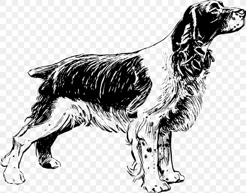 English Cocker Spaniel English Springer Spaniel Boykin Spaniel American Cocker Spaniel, PNG, 1280x1008px, Cocker Spaniel, American Cocker Spaniel, Black And White, Boykin Spaniel, Brittany Dog Download Free