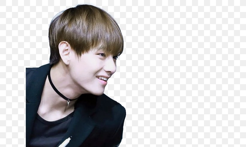 Kim Taehyung BTS The Most Beautiful Moment In Life: Young Forever K-pop Korean Idol, PNG, 647x489px, Watercolor, Cartoon, Flower, Frame, Heart Download Free