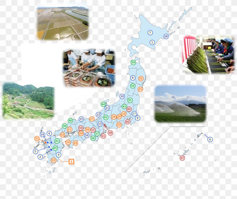 Ministry Of Agriculture, Forestry And Fisheries Yatsushiro Agricultural Policy 熊本県庁経営局 流通企画課地産地消・加工班, PNG, 1712x1444px, Agriculture, Agricultural Policy, City Hall, Human Settlement, Japan Download Free