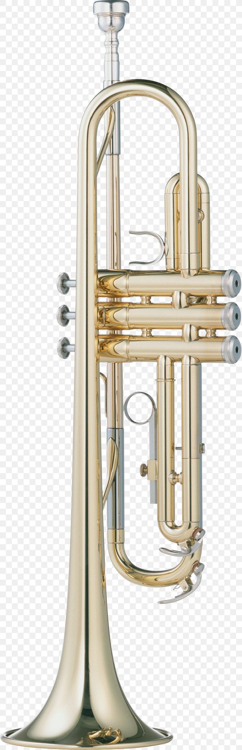 Musical Instruments Brass Instruments Trumpet Wind Instrument Trombone, PNG, 818x2536px, Watercolor, Cartoon, Flower, Frame, Heart Download Free