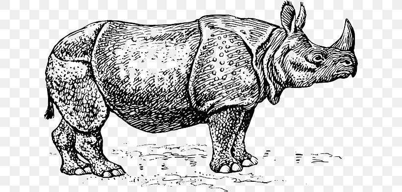 Black Rhinoceros Silhouette Clip Art, PNG, 640x393px, Rhinoceros, Art, Black And White, Black Rhinoceros, Cattle Like Mammal Download Free
