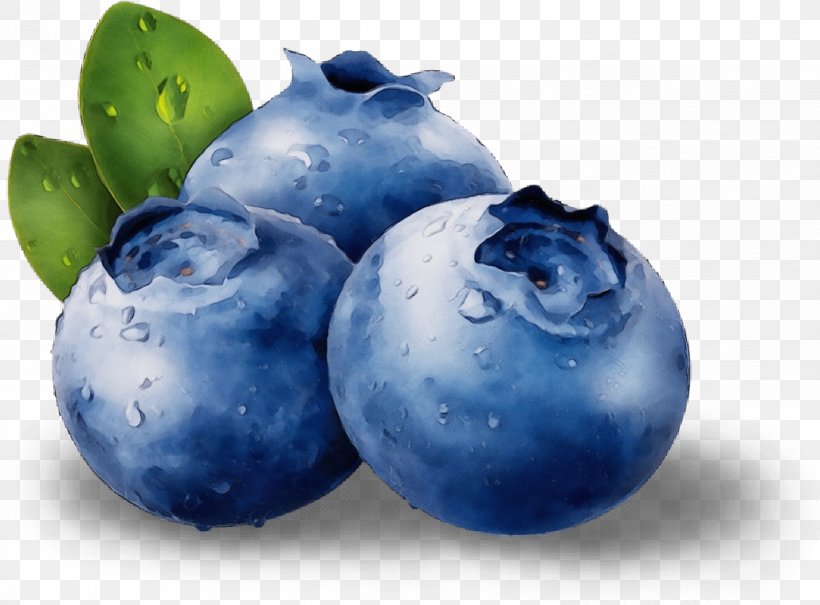 Blueberry Bilberry Berry European Plum Fruit, PNG, 1029x760px, Watercolor, Berry, Bilberry, Blueberry, European Plum Download Free