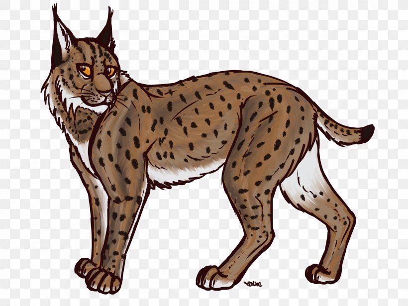 Eurasian Lynx Bobcat Canada Lynx Drawing Clip Art, PNG, 2400x1800px, Eurasian Lynx, Bengal, Big Cats, Bobcat, California Spangled Download Free