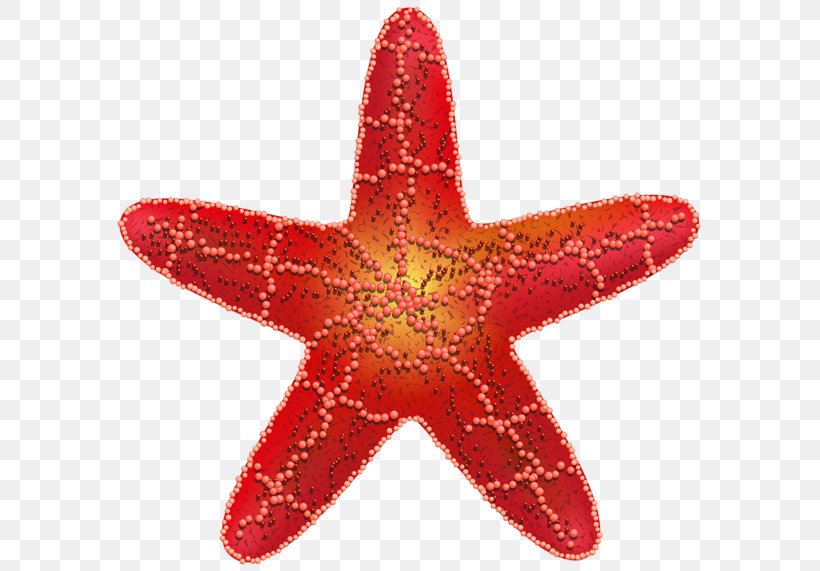 Starfish Red Star Symbol Star Polygons In Art And Culture, PNG, 600x571px, Starfish, Brittle Stars, Communism, Communist Symbolism, Echinoderm Download Free