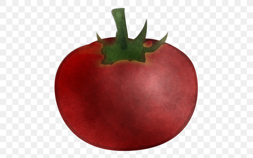 Tomato, PNG, 512x512px, Tomato, Apple, Biology, Plant, Science Download Free