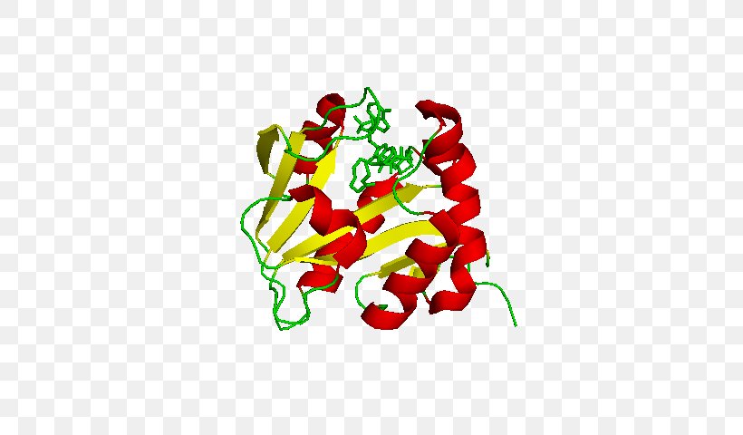 Serotonin Structure Png