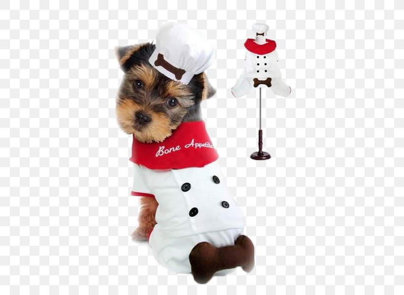 Dachshund Puppy Costume Chef Pet, PNG, 600x600px, Dachshund, Carnivoran, Chef, Chefs Uniform, Clothing Download Free