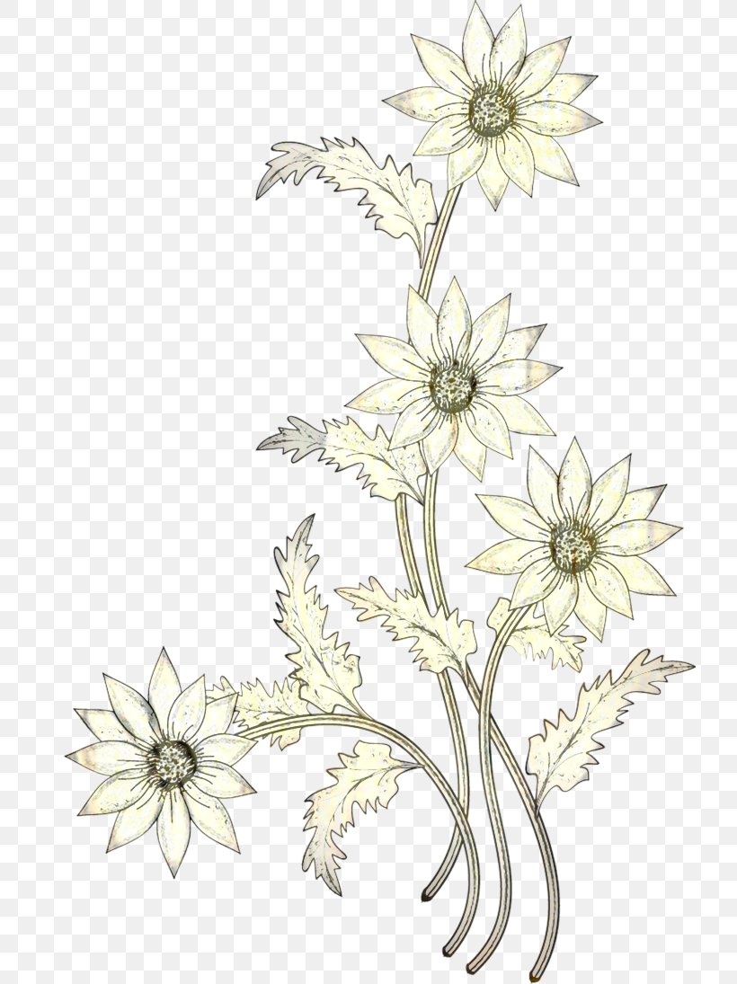 Floral Design Cut Flowers Chrysanthemum Plant Stem Pattern, PNG, 728x1095px, Floral Design, Botany, Chamomile, Character, Chrysanthemum Download Free