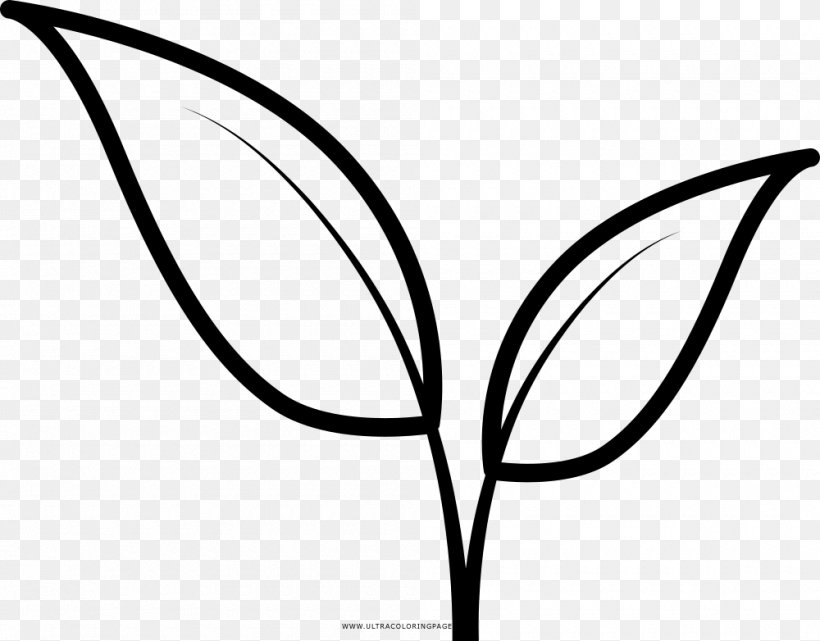 Leaf Drawing Line Art Coloring Book Clip Art, PNG, 1000x782px, Leaf, Area, Artwork, Black And White, Branch Download Free