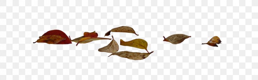 Autumn Leaves, PNG, 3200x1000px, Kocaeli Province, Autumn, Gender, Leaf, Product Design Download Free