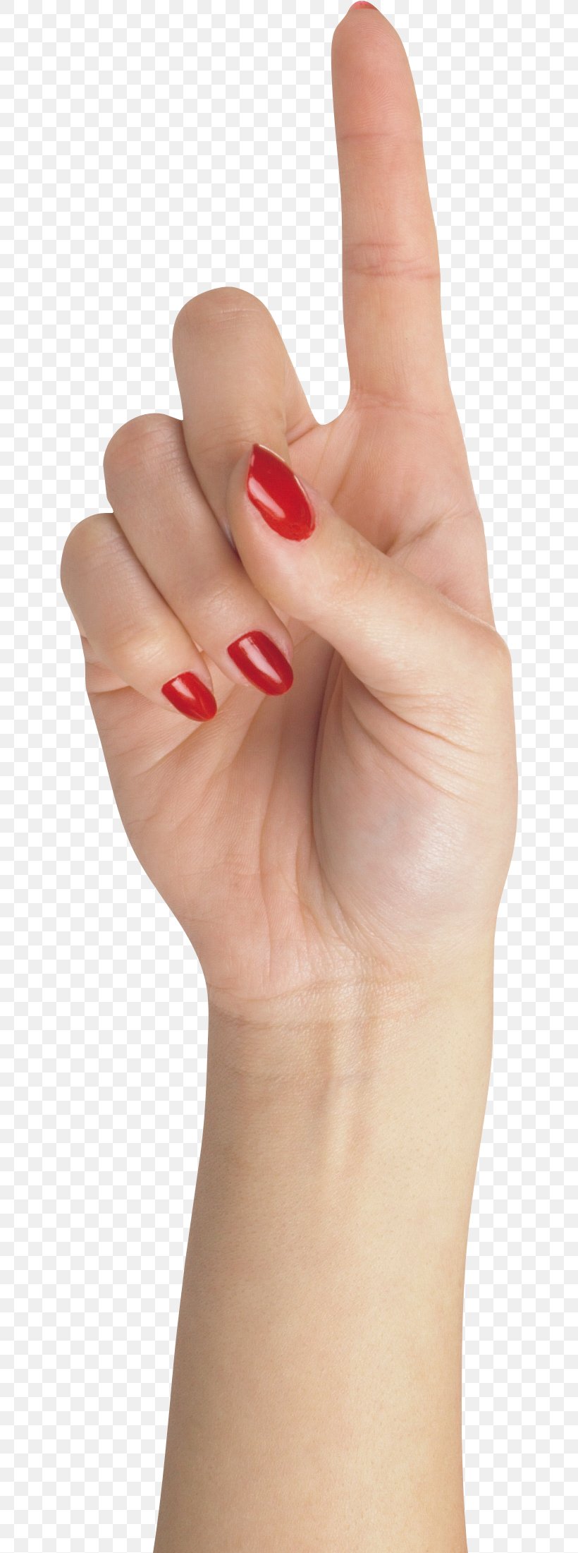 Nail Hand Finger, PNG, 650x2201px, Finger, Arm, Gesture, Hand, Hand Model Download Free