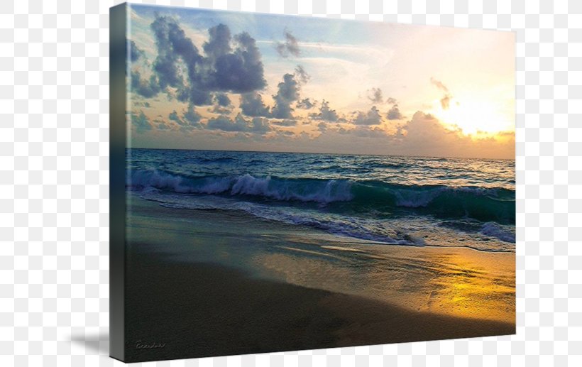 Painting Seascape Work Of Art Sunrise, PNG, 650x517px, Painting, Art, Discover Card, Fine Art, Florida Download Free
