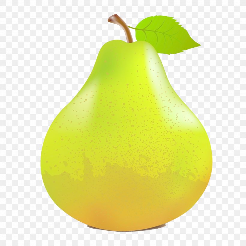 Pear Fruit, PNG, 2953x2953px, Pear, Apple, Auglis, Citric Acid, Drawing Download Free