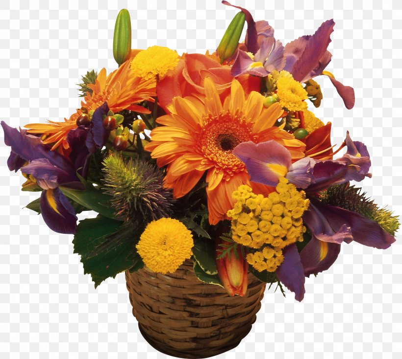 Cincinnati Flower Show Desktop Wallpaper Transvaal Daisy, PNG, 2348x2103px, Flower, Basket, Color, Cut Flowers, Desktop Metaphor Download Free