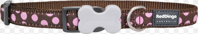 Dog Cat Dingo Clothing Accessories Puppy, PNG, 3000x528px, Dog, Cat, Clothing Accessories, Collar, Dingo Download Free