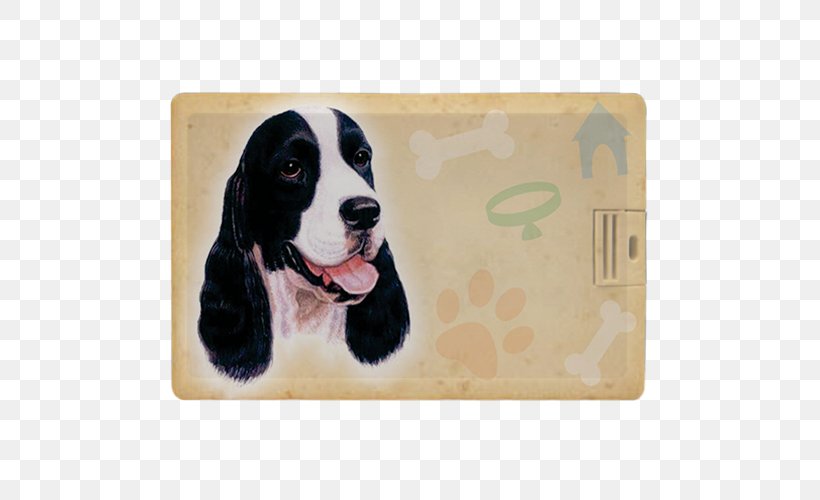 English Springer Spaniel English Cocker Spaniel Dog Breed Welsh Springer Spaniel Pet, PNG, 500x500px, English Springer Spaniel, Breed, Carnivoran, Dog, Dog Breed Download Free