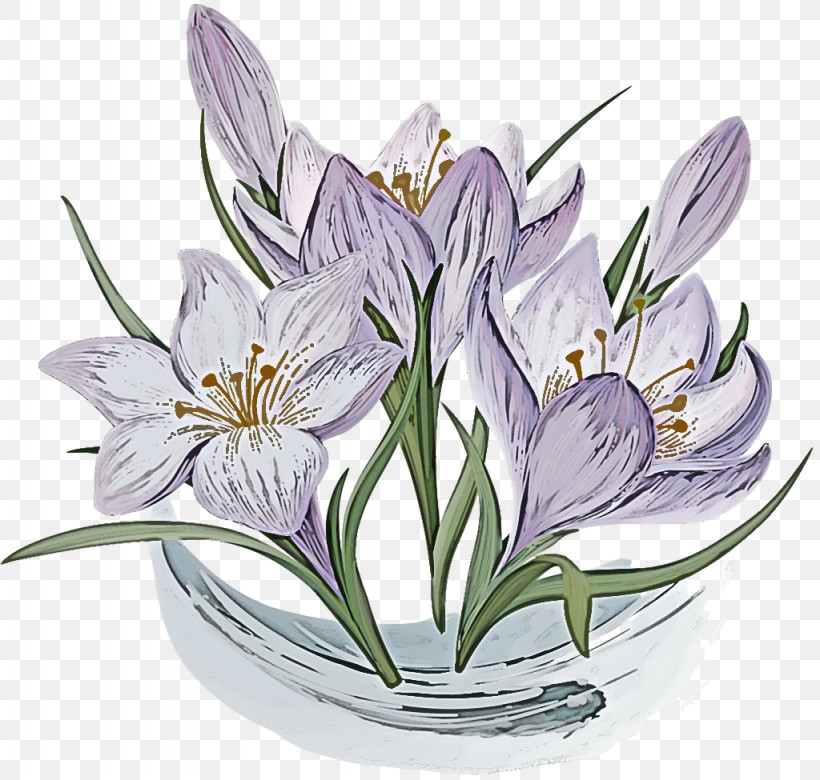 Flower Plant Petal Crocus Lily, PNG, 1024x975px, Flower, Amaryllis Belladonna, Crocus, Lily, Lily Family Download Free