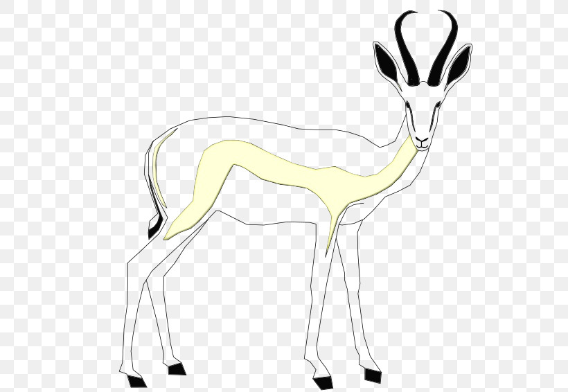 Springbok Deer Gazelles Line Art, PNG, 800x566px, Watercolor, Animal Figurine, Deer, Horse, Line Art Download Free