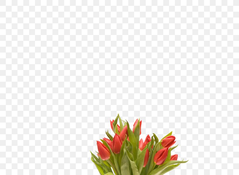 Tulip Flower Bouquet Desktop Wallpaper, PNG, 600x600px, Tulip, Computer, Cut Flowers, Floral Design, Floristry Download Free