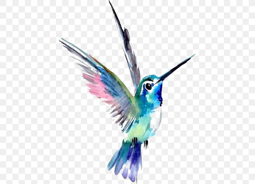 Watercolor Painting Art Hummingbird Drawing, PNG, 439x593px, Watercolor Painting, Abstract Art, Art, Beak, Bird Download Free