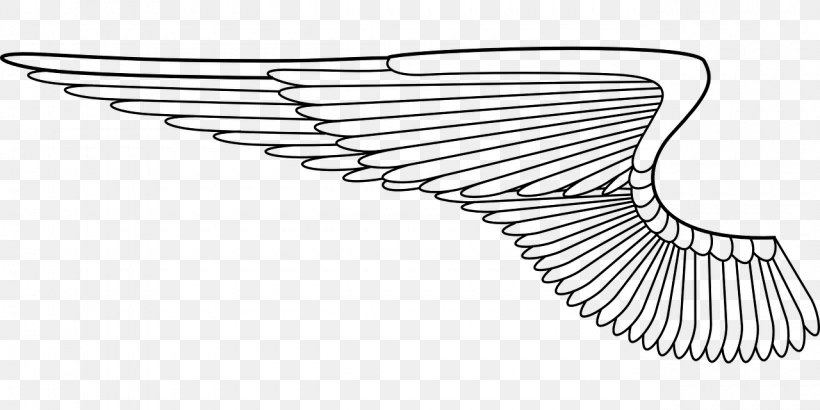 Airplane Fixed-wing Aircraft Line Art Clip Art, PNG, 1280x640px, Airplane, Aviation, Black And White, Fixedwing Aircraft, Hardware Accessory Download Free