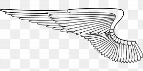 Airplane - Airplane Fixed-wing Aircraft Line Art Clip Art PNG