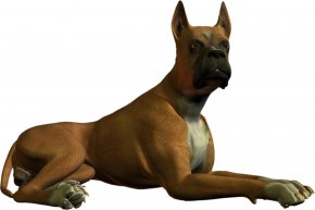 Dogs - Boxer Clip Art PNG