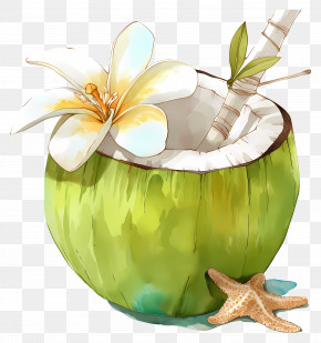 Coconut Water - Coconut With Flower And Starfish PNG