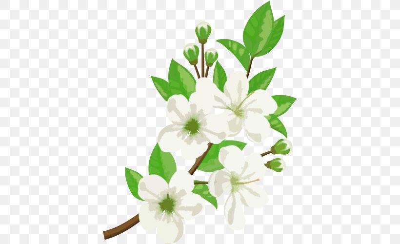 Flower Jasmine Stock Photography Illustration, PNG, 672x500px, Flower, Blossom, Branch, Flora, Floral Design Download Free