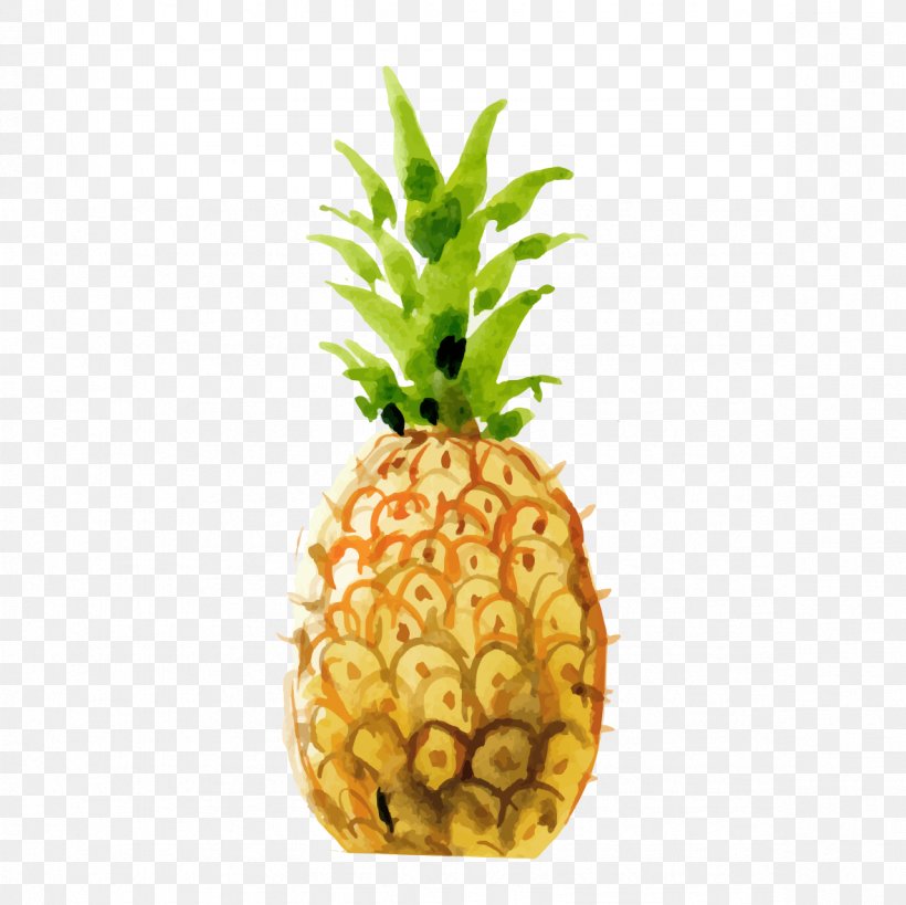 Pineapple Drawing, PNG, 1181x1181px, Pineapple, Ananas, Bromeliaceae, Drawing, Food Download Free