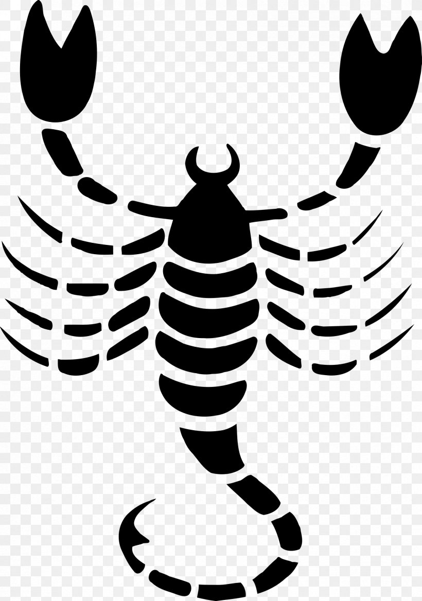 Scorpion Astrological Sign Zodiac Clip Art, PNG, 1684x2400px, Scorpion, Artwork, Astrological Sign, Astrology, Black And White Download Free