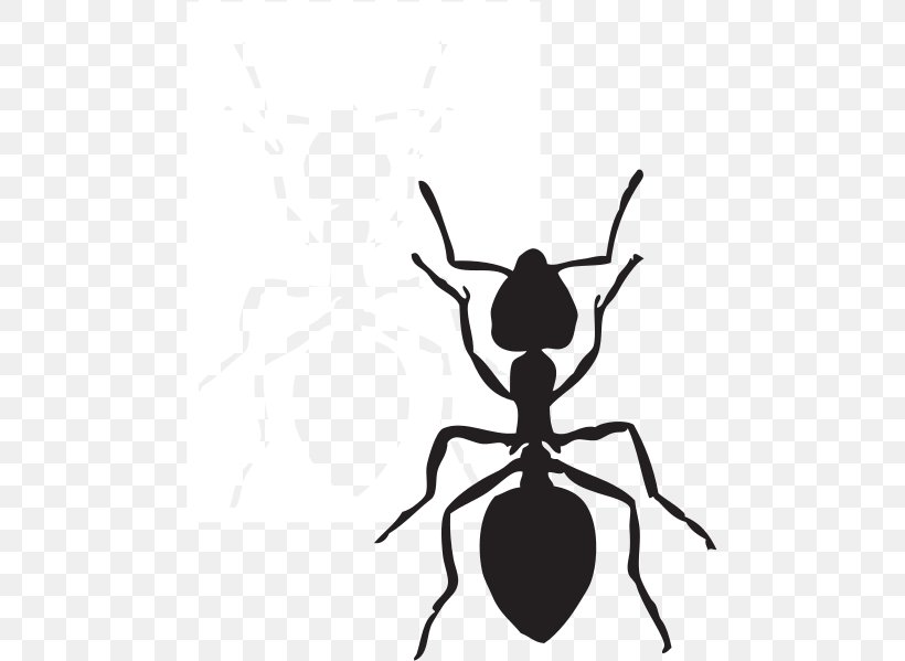Ant Clip Art, PNG, 481x599px, Ant, Animation, Arthropod, Artwork, Black And White Download Free
