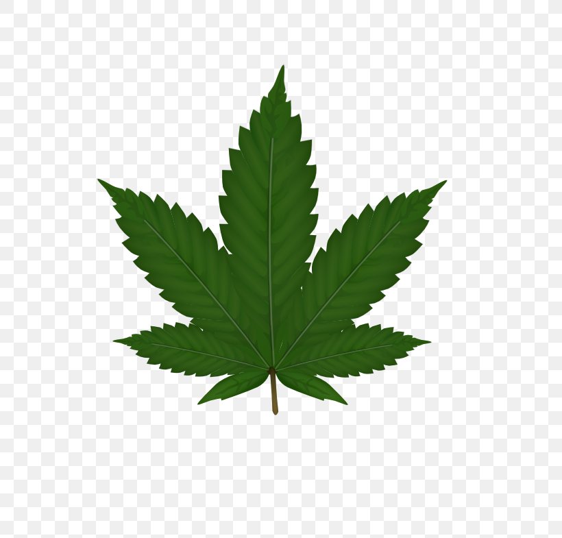 Cannabis Sativa Leaf Clip Art, PNG, 555x785px, 420 Day, Cannabis Sativa, Blunt, Cannabis, Hemp Download Free