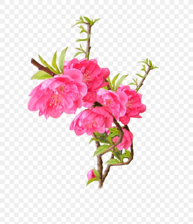 Computer File, PNG, 708x949px, Vase, Artificial Flower, Azalea, Blossom, Branch Download Free