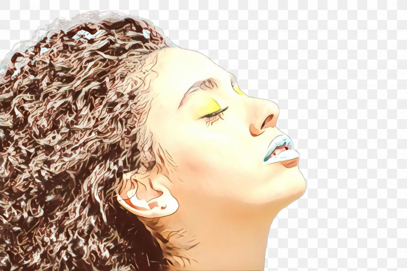 Hair Face Skin Nose Chin, PNG, 2448x1632px, Cartoon, Beauty, Cheek, Chin, Face Download Free