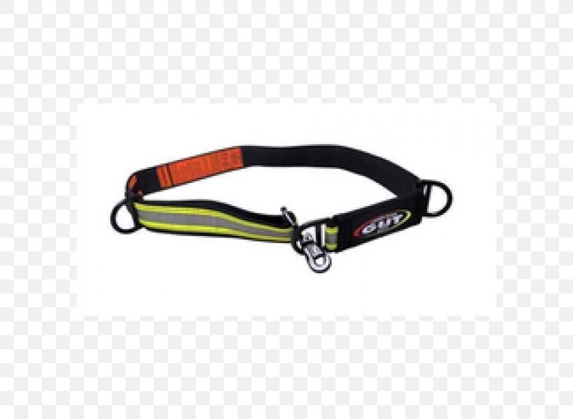 Leash Dog Collar, PNG, 600x600px, Leash, Collar, Dog, Dog Collar, Fashion Accessory Download Free