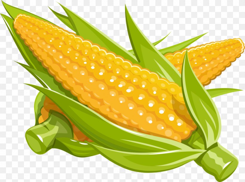 Maize Royalty-free Illustration, PNG, 934x694px, Maize, Commodity, Corn On The Cob, Cuisine, Drawing Download Free