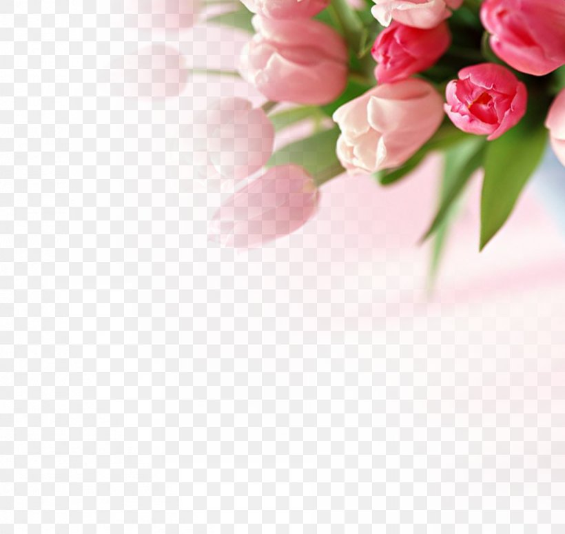 Romance Download, PNG, 1152x1090px, Romance, Floral Design, Floristry, Flower, Flower Arranging Download Free