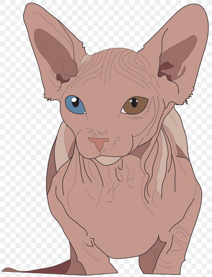 Sphynx Cat Donskoy Peterbald Whiskers Illustration, PNG, 1200x1568px, Sphynx Cat, Carnivoran, Cartoon, Cat, Cat Like Mammal Download Free