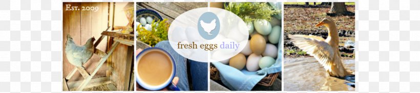 Fresh Eggs Daily: Raising Happy, Healthy Chickens ... Naturally Poultry Livestock, PNG, 1270x282px, Chicken, Do It Yourself, Egg, Farm, Fodder Download Free